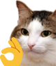kiisu_ok emote for Discord