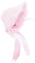 rightearfluffycute emote for Discord