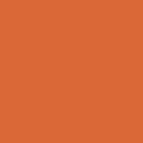 persimmon emote for Discord