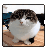 wawacube emote for Discord