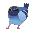 pigeondance animated emote