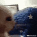 bollocks emote for Discord
