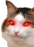 kiisu_lasereyes emote for Discord