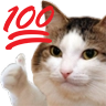 kiisu_hundredpercent emote for Discord