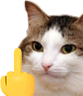 kiisu_fuku emote for Discord