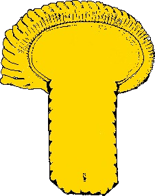 ColonelFrenchArmy1813 emote for Discord