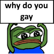 whydoyougaypepe emote for Discord