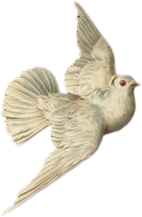 Dove emote for Discord