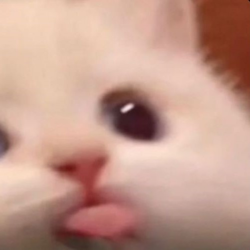 blep static emote