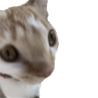 sop emote for Discord