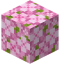 Minecraft_Cherry_Leaf emote for Discord