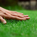 grass emote for Discord