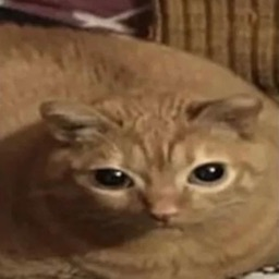 dereck emote for Discord