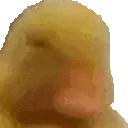 SMH_Nope_Duckling emote for Discord