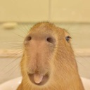 HappyCapybara emote for Discord