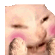 cattomg emote for Discord