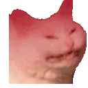 cattorage emote for Discord