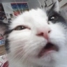 whaaaa emote for Discord