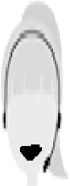 Laura_happy emote for Discord