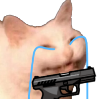 sadcattogun emote for Discord