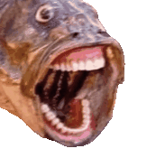 crazyFish emote for Discord