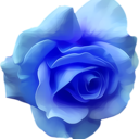 blue_flower emote for Discord