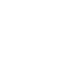 image_icon_white emote for Discord