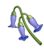 Item_Violetgrass emote for Discord