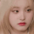 lizwhat emote for Discord