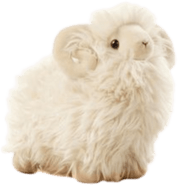 RamPlushie emote for Discord