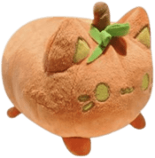PumpkinCat emote for Discord