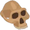 Fossil_Skull emote for Discord