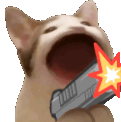 popcatgun emote for Discord