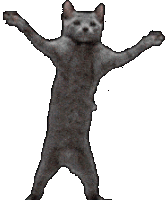 fastcatdance emote for Discord