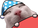 plinkbedge emote for Discord