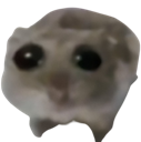 Hamster_sad emote for Discord