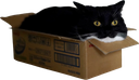 maxwellboxannoyed emote for Discord