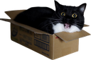 maxwellboxhype emote for Discord