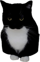 maxwellstand3 emote for Discord