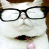 Wait_what emote for Discord