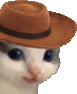 Meowdy emote for Discord