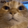 Wuhcrop emote for Discord