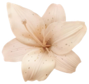 flower4 emote for Discord