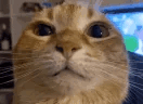Wuh emote for Discord