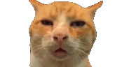 Huh emote for Discord
