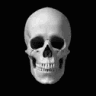 Forgor emote for Discord