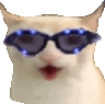 CatJam emote for Discord