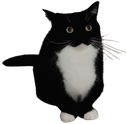 maxwellstand4 emote for Discord