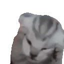 thevoices animated emote