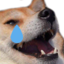dogekekcry emote for Discord